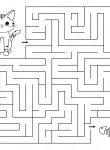 A Cat’s Maze