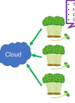 Data Cultivation System